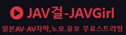 JAV걸